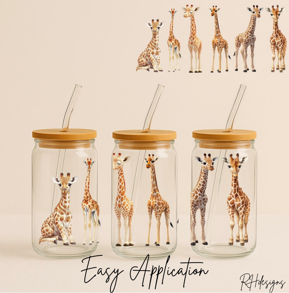 6 Giraffes - 16oz