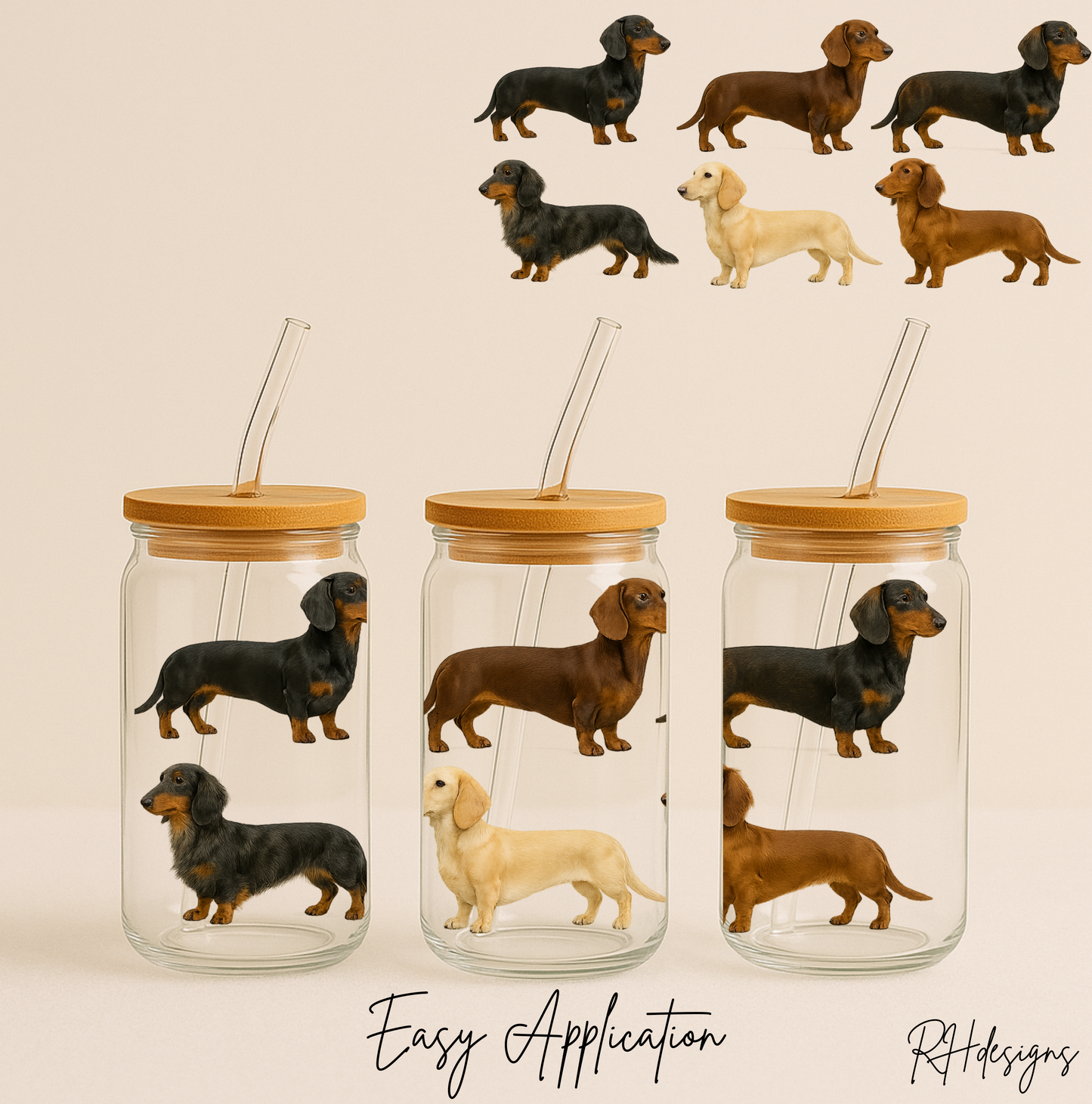 6 Dachshunds - 16oz
