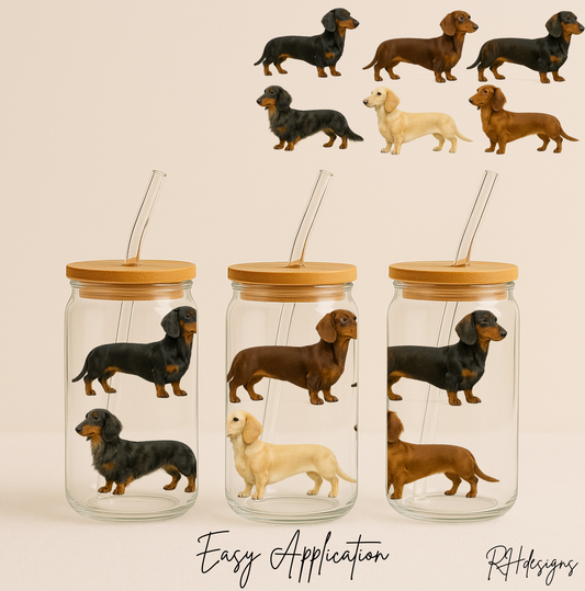 6 Dachshunds - 16oz