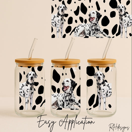 Dalmatian Dog - 16oz