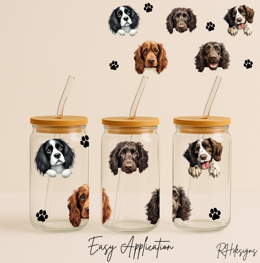 Assorted Spaniel - 16oz